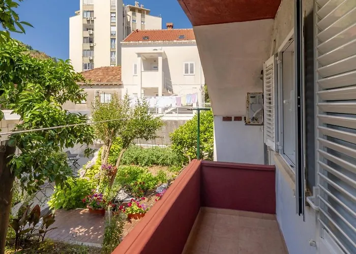 With Large Terrace *