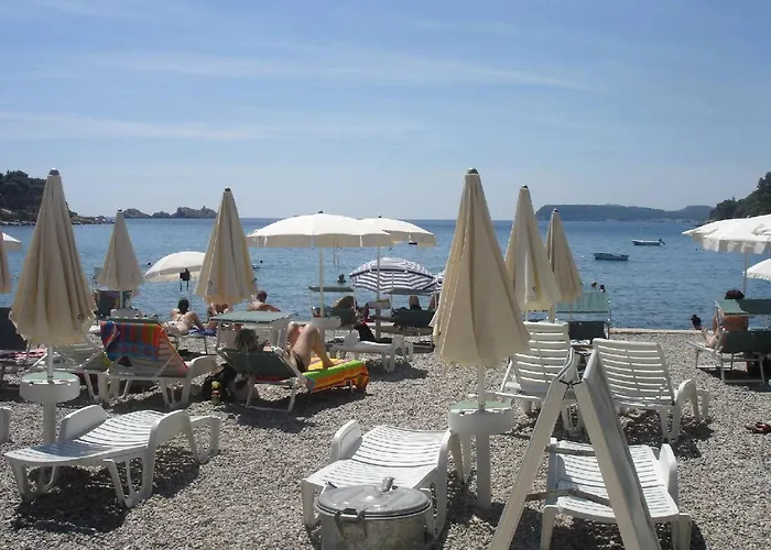 With Large Terrace *